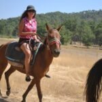 Marmaris Horseback Riding Experience - The Practicalities: What You Need to Know