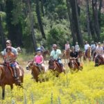 Marmaris: Horseback Riding in the Forest w/Hotel Pickup - Why This Horseback Riding Tour Stands Out