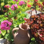 Marne: Champagne Region Private Day Tour with Lunch - Practical Details & What You Should Know