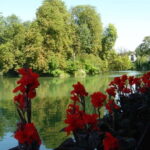 Marne River Loop Day Cruise with Lunch on Board - What We Think About the Experience