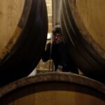 Marsala: Florio Winery Tour with Food-Paired Wine Tastings - Who Should Consider This Tour?