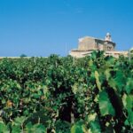 Marsala: Winery Tour with Wine Tasting and Local Products - What to Expect from the Winery Tour in Marsala