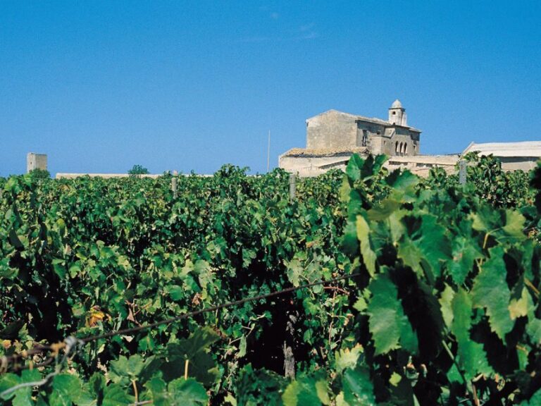 Marsala: Winery Tour with Wine Tasting and Local Products - What to Expect from the Winery Tour in Marsala