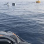 Marsaskala: Dolphin Watching Boat Tour - Who Is This Tour Best For?