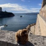 Marseille: Private Customised Walking 2-Hour Tour - Who Will Love This Tour?