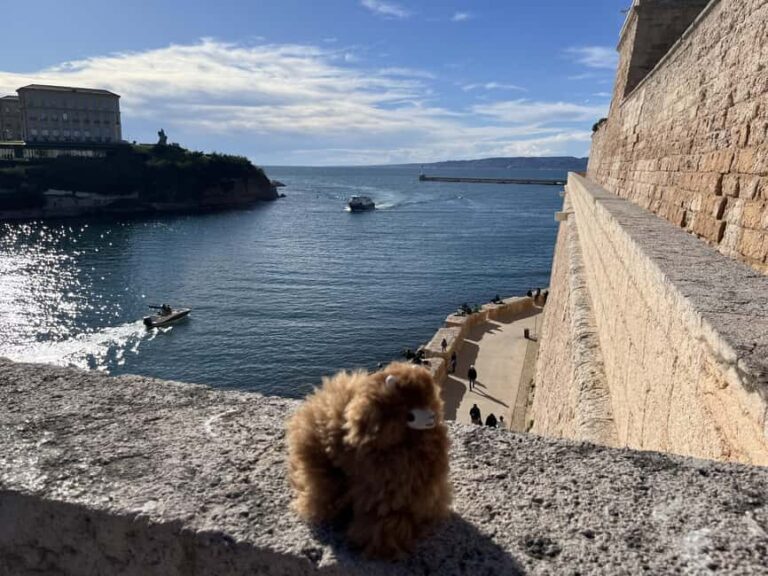 Marseille: Private Customised Walking 2-Hour Tour - Who Will Love This Tour?