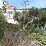 Marseille: Sormiou Calanque Half-Day Hiking Tour w/Swimming - Final Thoughts: Who Should Consider This Tour?