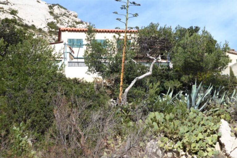 Marseille: Sormiou Calanque Half-Day Hiking Tour w/Swimming - Final Thoughts: Who Should Consider This Tour?