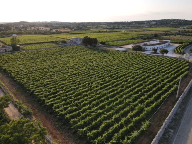 Martina Franca: Wine & Local Products Tasting - Who Should Book This Tour?