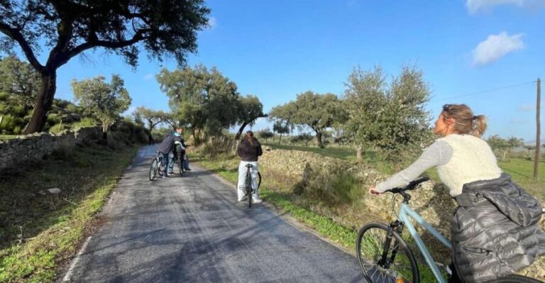 Marvão: bike tours in nature - Starting Point and Ease of Access