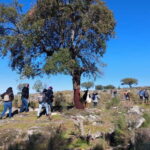 Marvão: Megalithic Monuments Private Tour with Hotel Pickup - Practical Details: What You Need to Know