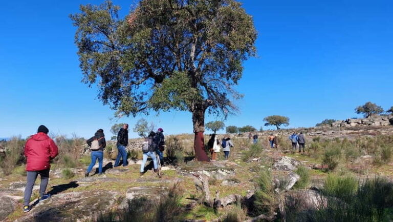 Marvão: Megalithic Monuments Private Tour with Hotel Pickup - Practical Details: What You Need to Know