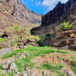 Masca Gorge Guided Hike + Boat Ride + Transport - The Value of This Adventure