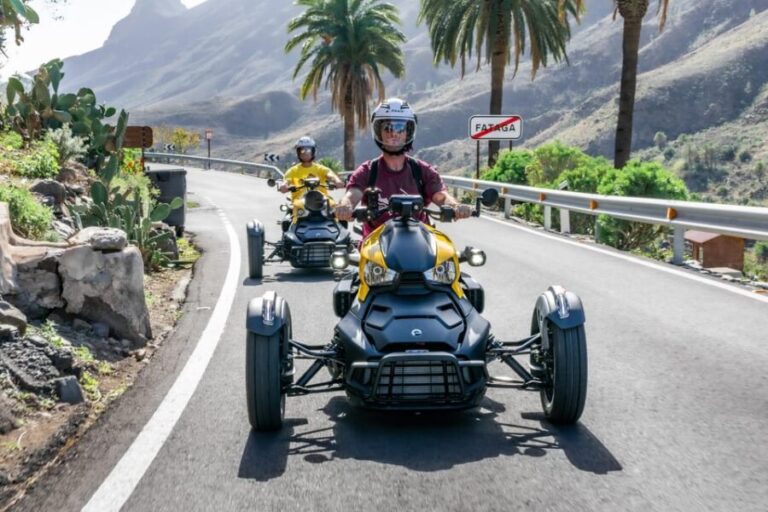 Maspalomas: Ryker Moto Tour to Fataga (Mountain buggy) - Exploring Fataga and Its Charm
