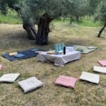 Matera: Pic-Nic under the Centuries-Old Olive Trees - What Makes This Tour Stand Out
