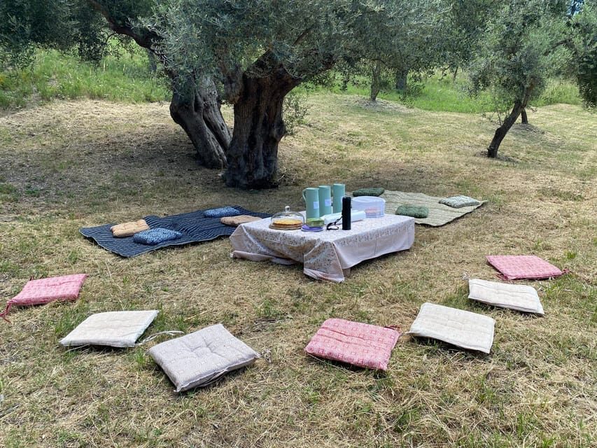 Matera: Pic-Nic under the Centuries-Old Olive Trees - What Makes This Tour Stand Out