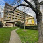 Medieval Paris Through the Novel The Hunchback of Notre-Dame - Who Should Consider This Tour?