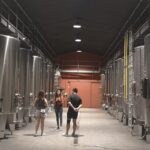 Médoc wine tour from Bordeaux: 2 wineries & 6 wines - What Makes This Tour Stand Out?