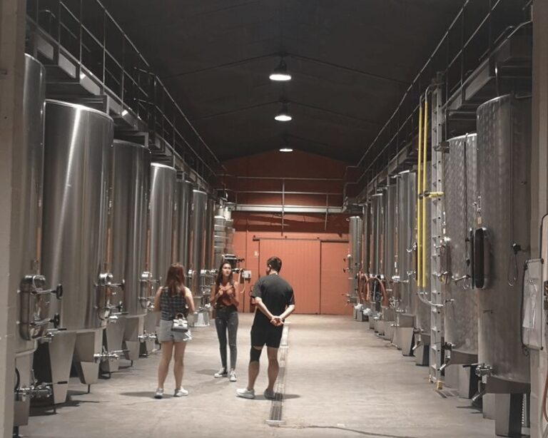 Médoc wine tour from Bordeaux: 2 wineries & 6 wines - What Makes This Tour Stand Out?