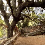 Melanes Tour: Village Highlights & Garden-to-Table Meal - FAQs