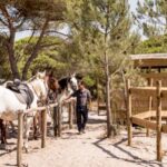 Melides: Horse Riding on the Beach with Wine Tasting - Who Will Love This Experience?