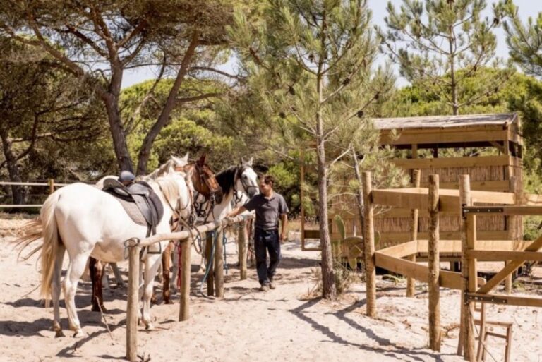 Melides: Horse Riding on the Beach with Wine Tasting - Who Will Love This Experience?