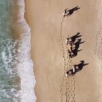 Melides: Horseback Riding on Melides Beach - The Itinerary: What to Expect from Start to Finish