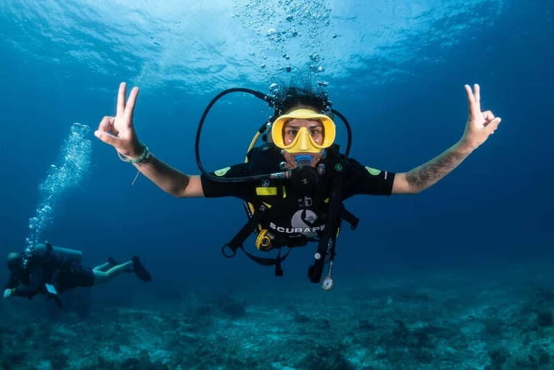 Mellieha: Introductory Diving Session in the Open Sea - The Itinerary: Step-by-Step