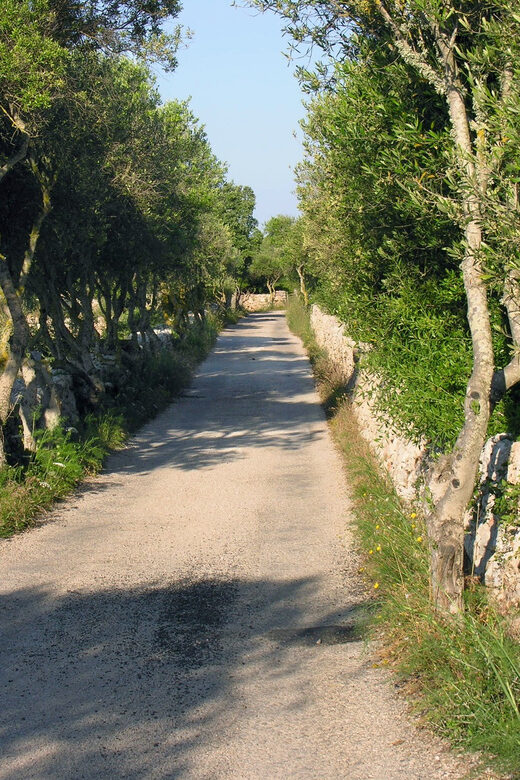 Menorca: E-Bike Tour From Punta Prima to Es Castell - Who Is This Tour Best For?