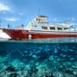 Menorca: Full-Day Boat Tour with Paella Lunch - What the Reviews Say: Authentic Insights