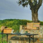 Mértola's Stunning Countryside Picnic - Practical Details: What You Should Know