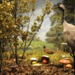 Meteora: Natural History Museum and Mushroom Museum Tour - A Closer Look at What You’ll Experience