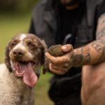Meteora Truffle Hunting Experience with Lunch & Museum Visit - The Value of the Experience