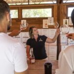 Mèze: Domaine Saint André Vineyard Guided Tour with Tasting - Who Is This Tour Best For?