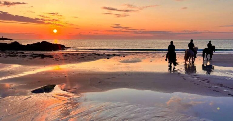 Midnight sun tour - Itinerary and Scenic Highlights