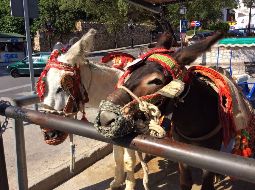 Mijas: Private Walking Tour - Detailed Breakdown of the Tour