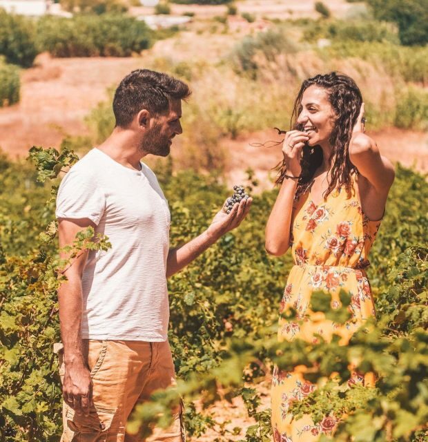 Minoan Crete: Knossos Palace & Heraklion Museum with Winery - The Itinerary: What to Expect