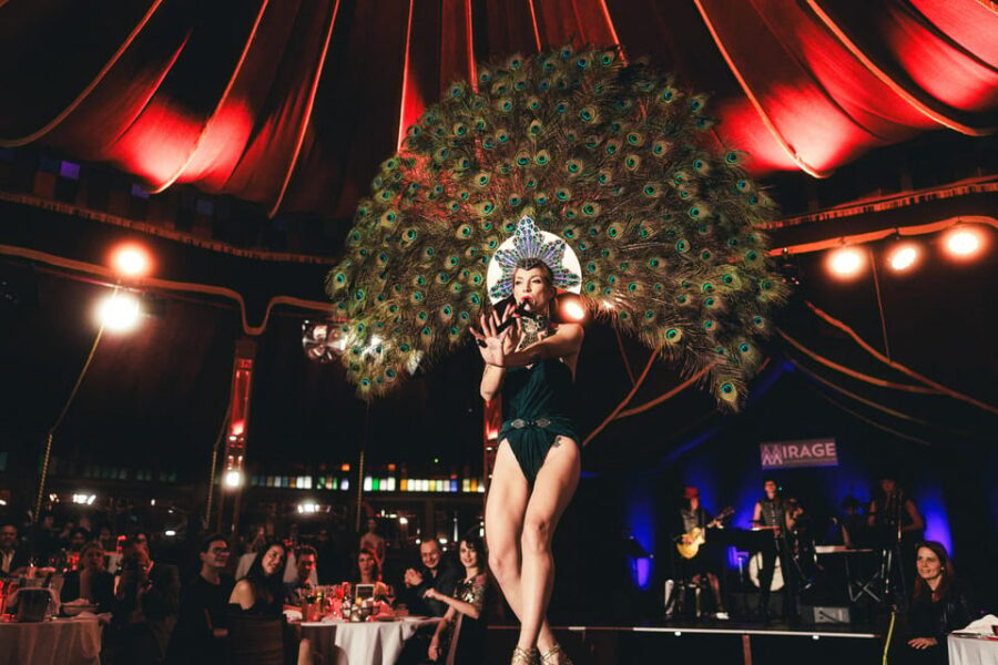 Mirage Vienna: Burlesque Spectacular - Dinner Show - The Practical Details: What You Need to Know