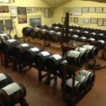 Modena: Balsamic Vinegar Cellar Tour, Tasting & Food Pairing - Practical Details and Tips