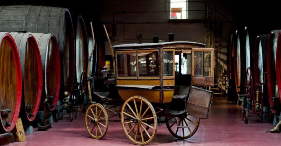 Modena: Lambrusco Wine Tasting and Cellar Tour - The Practicalities: What You Need to Know