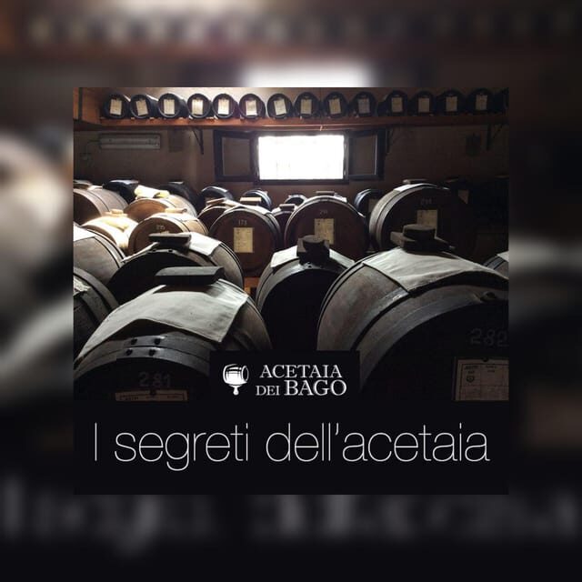 Modena:Tour&Taste of Bio & Traditional Balsamic Vinegar DOP - Why This Tour Offers Great Value