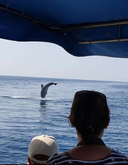 Molat Island Dolphin Watching Boat Tour 6hours TOUR - Who Should Consider This Tour?