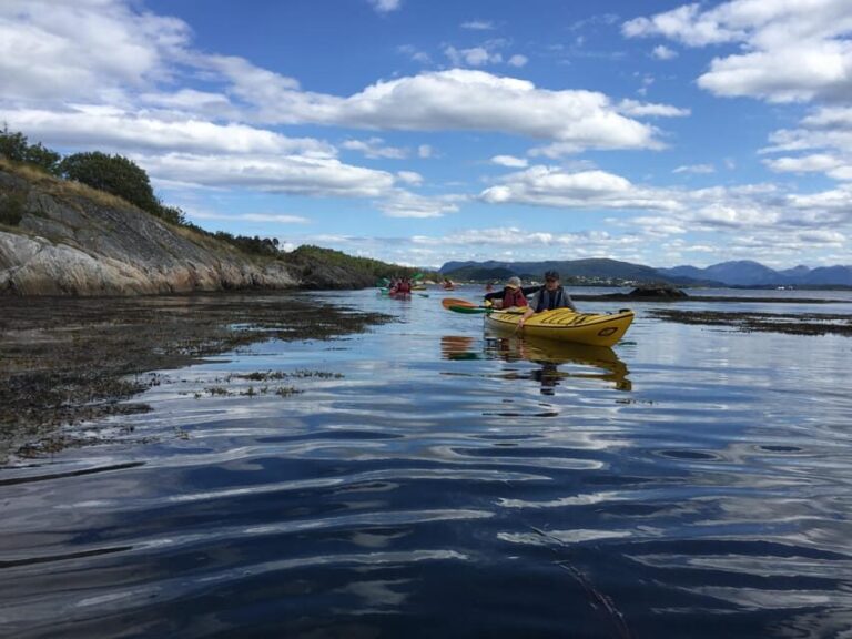 Molde - Guided kayak tour - Practical Tips for Your Kayaking Adventure
