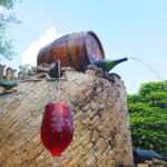 Moldova: Wine tour to Miletii Mici cellar with Tasting - Exploring Miletii Mici: History and Heritage