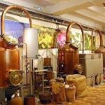 Monaco and Perched Medieval Villages Day Tour from Nice - Transportation and Comfort