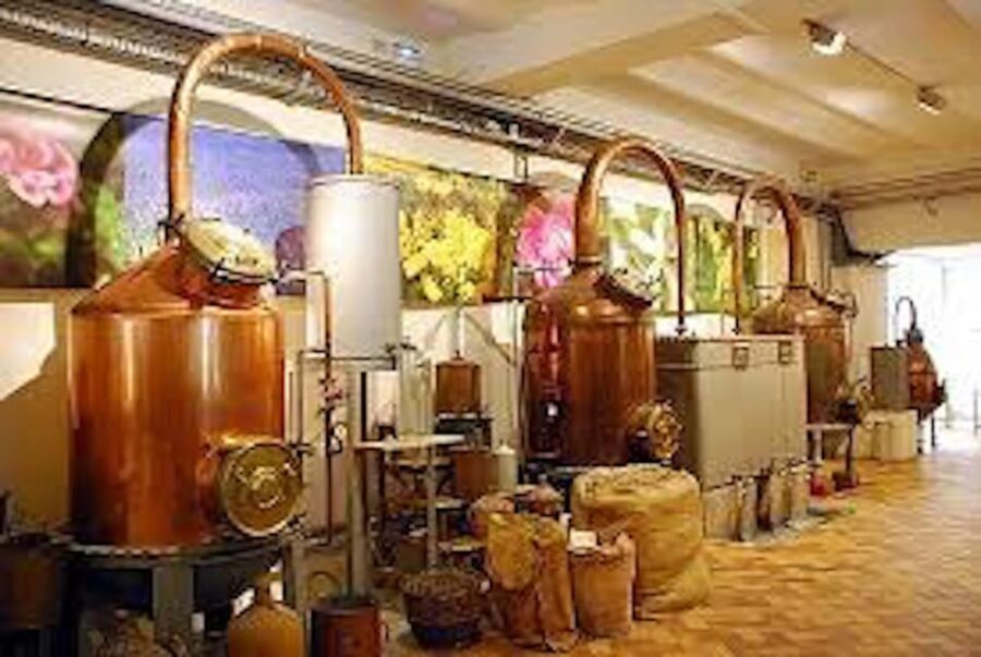 Monaco and Perched Medieval Villages Day Tour from Nice - Transportation and Comfort