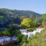 Monchique: Highlights Tour - Who Should Take This Tour?