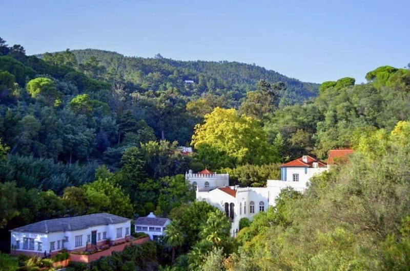 Monchique: Highlights Tour - Who Should Take This Tour?