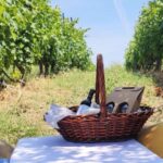 Monferrato: Garetto Wine Estate Tour and Picnic Private - Who Would Love This Tour?