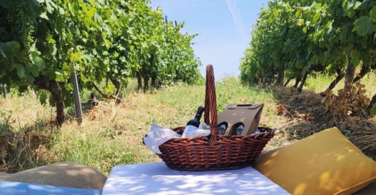 Monferrato: Garetto Wine Estate Tour and Picnic Private - Who Would Love This Tour?